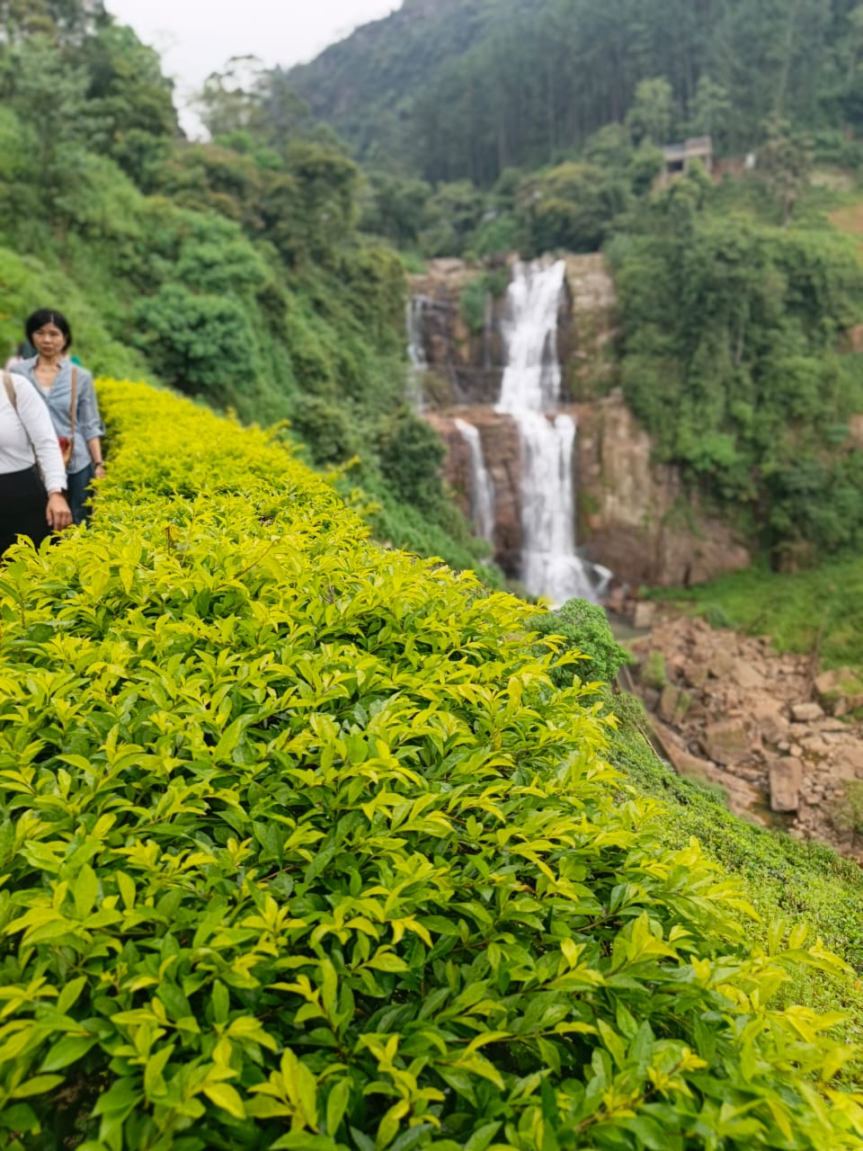 Guest photo from a Sri Lanka tour with Sahan
