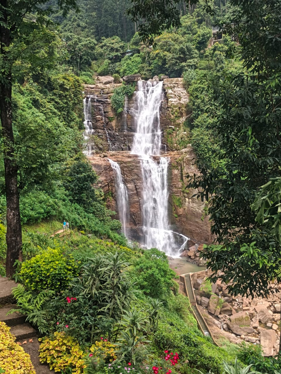 Guest photo from a Sri Lanka tour with Sahan