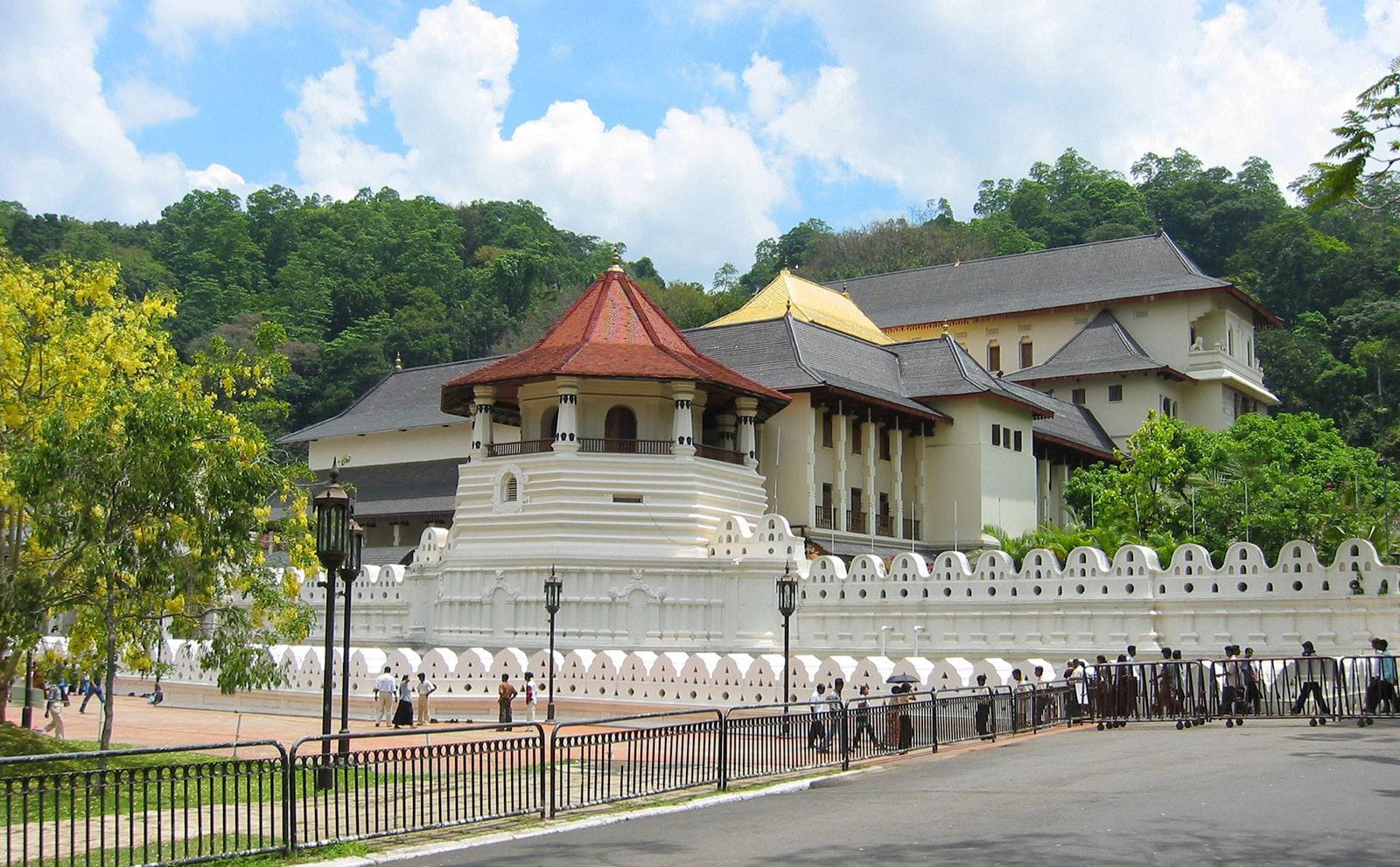 Guest photo from a Sri Lanka tour with Sahan