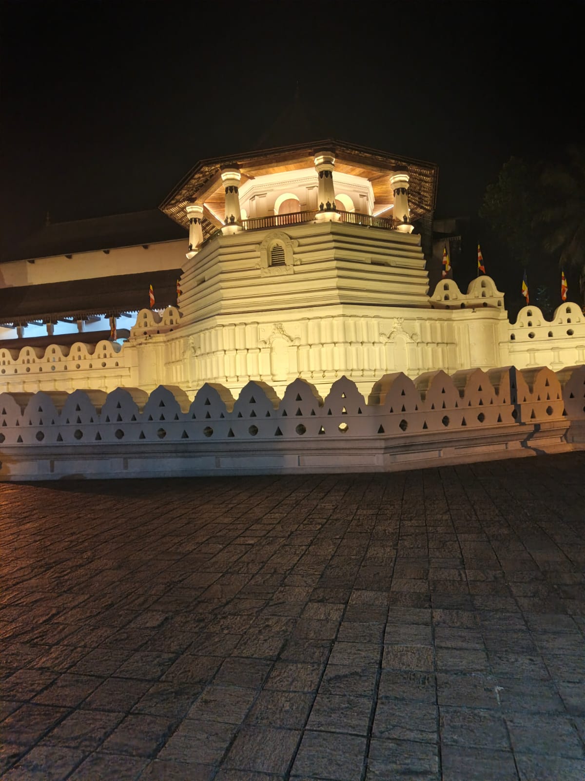 Guest photo from a Sri Lanka tour with Sahan