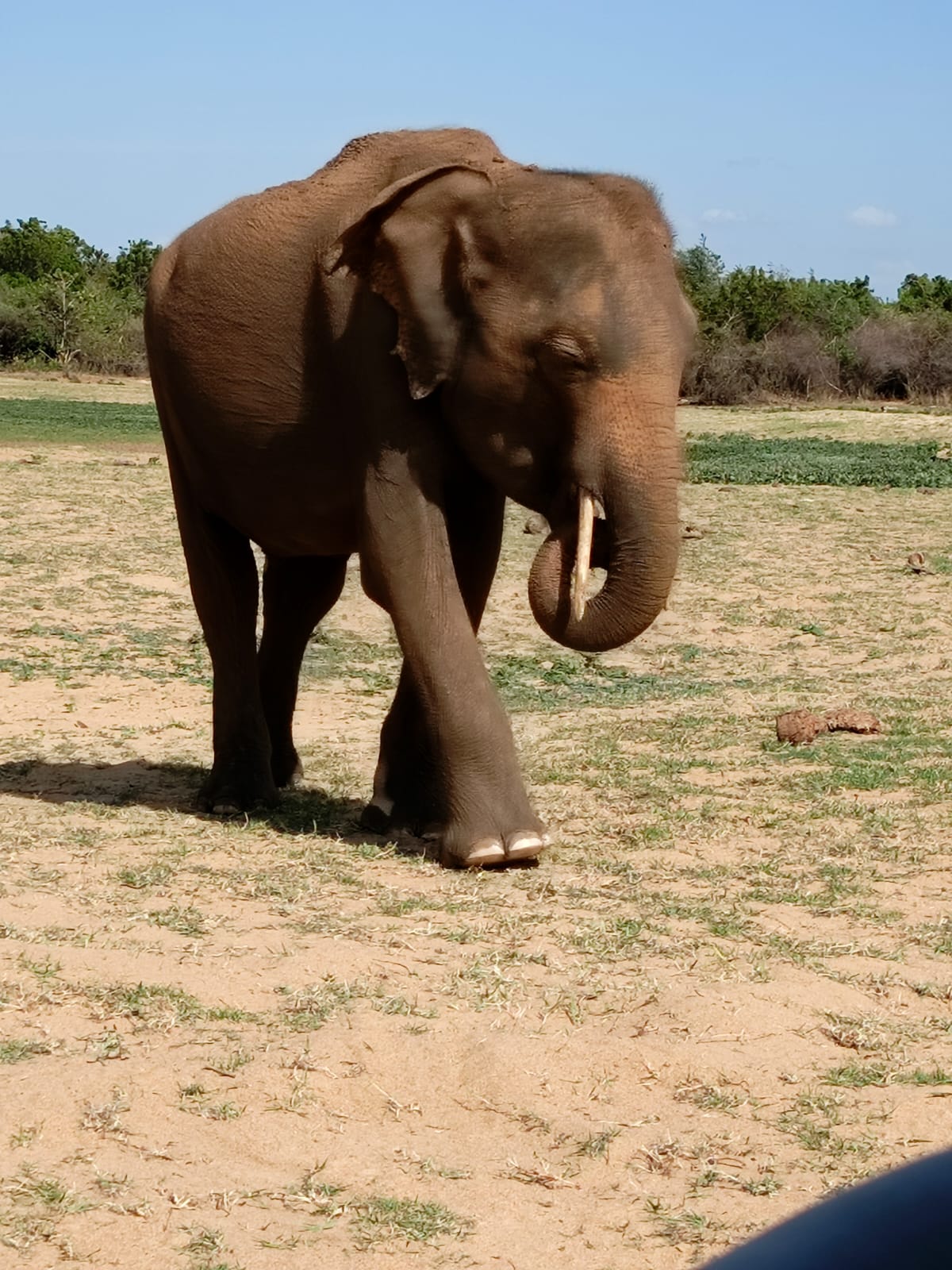Guest photo from a Sri Lanka tour with Sahan