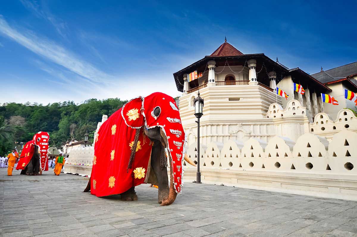 Guest photo from a Sri Lanka tour with Sahan
