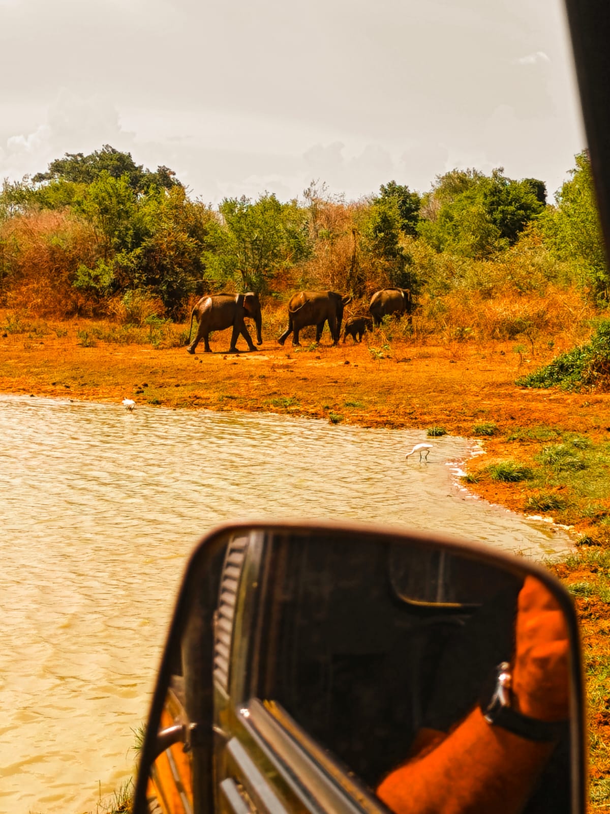 Guest photo from a Sri Lanka tour with Sahan