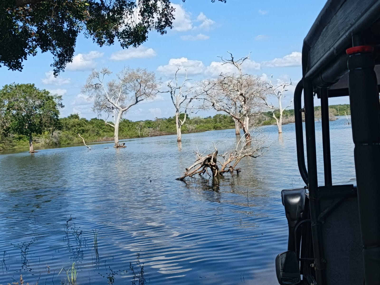 Guest photo from a Sri Lanka tour with Sahan
