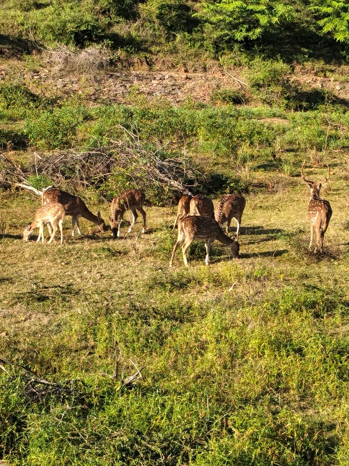 Guest photo from a Sri Lanka tour with Sahan